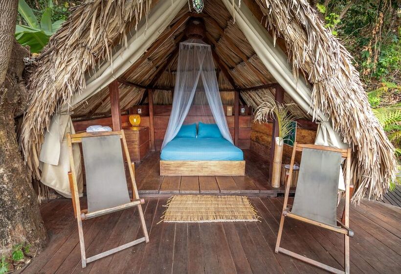 Casa Loma Minca   Hostel