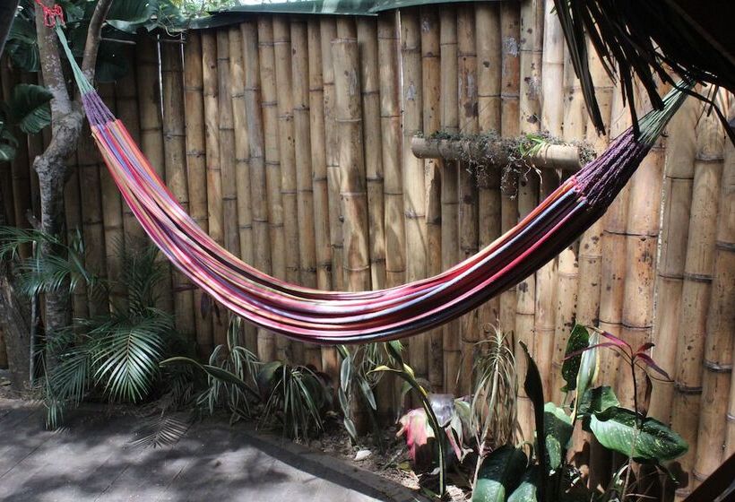 Casa Loma Minca   Hostel