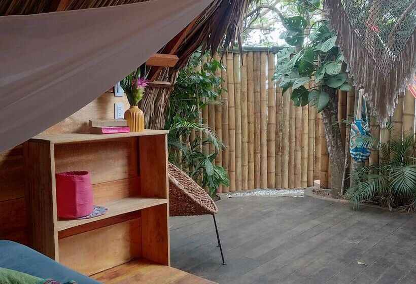 Casa Loma Minca   Hostel