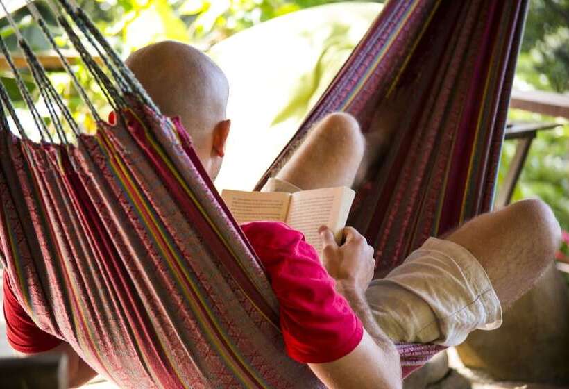 Casa Loma Minca   Hostel