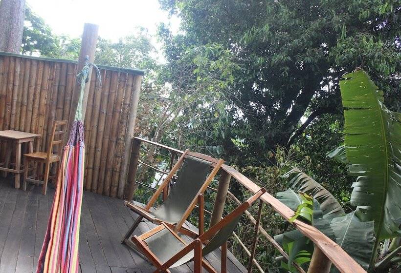 Casa Loma Minca   Hostel