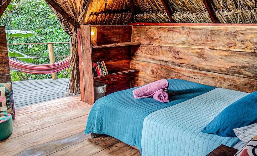 Casa Loma Minca   Hostel