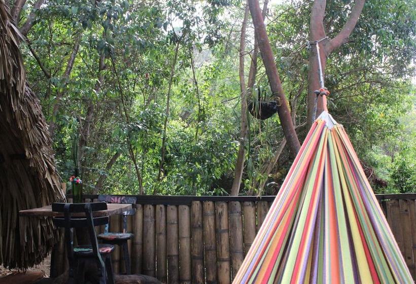 Casa Loma Minca   Hostel