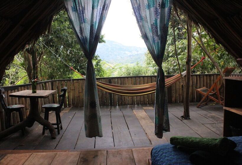 Casa Loma Minca   Hostel