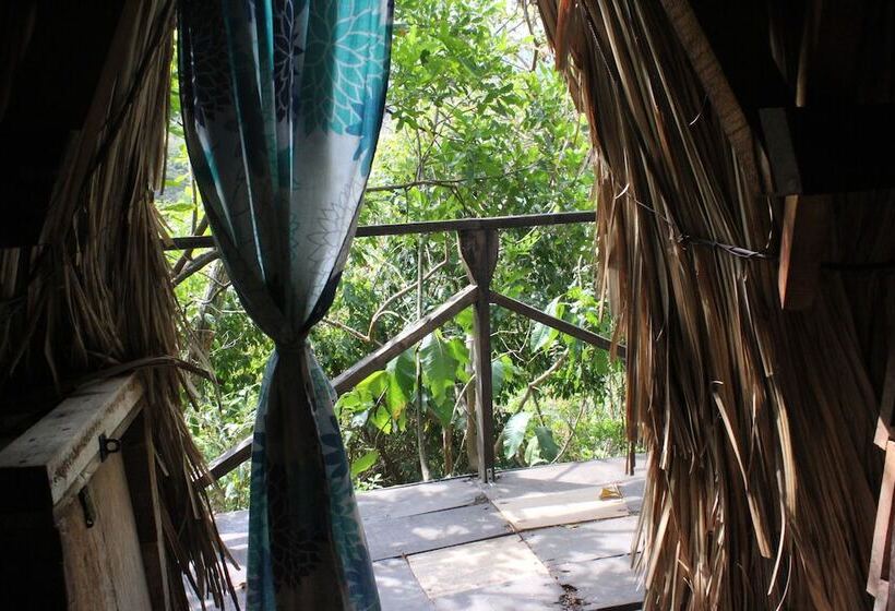 Casa Loma Minca   Hostel