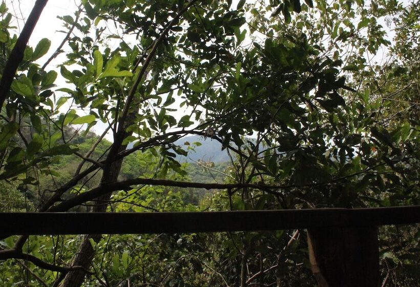 Casa Loma Minca   Hostel