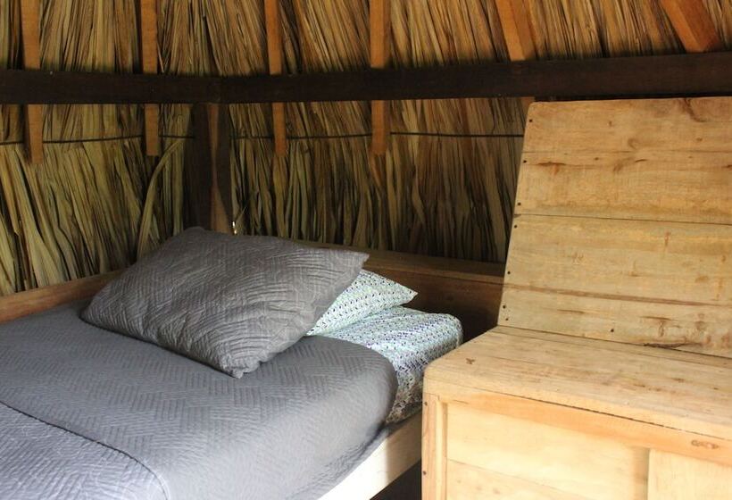 Casa Loma Minca   Hostel