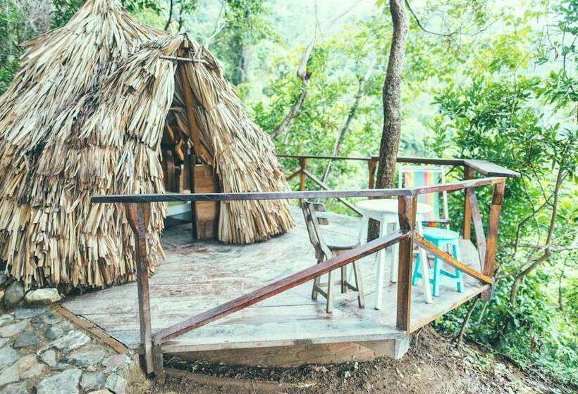 Casa Loma Minca   Hostel