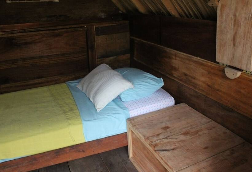 Casa Loma Minca   Hostel