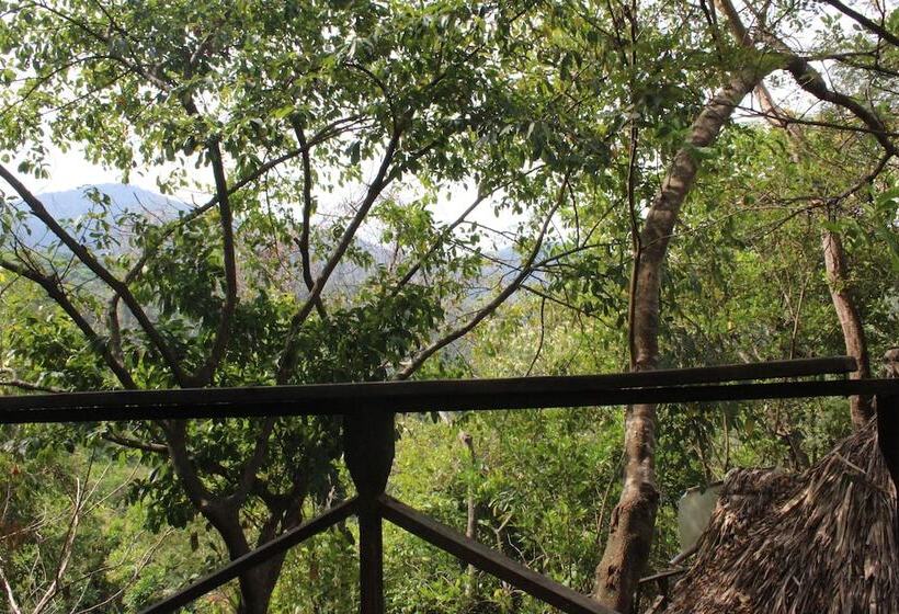 Casa Loma Minca   Hostel