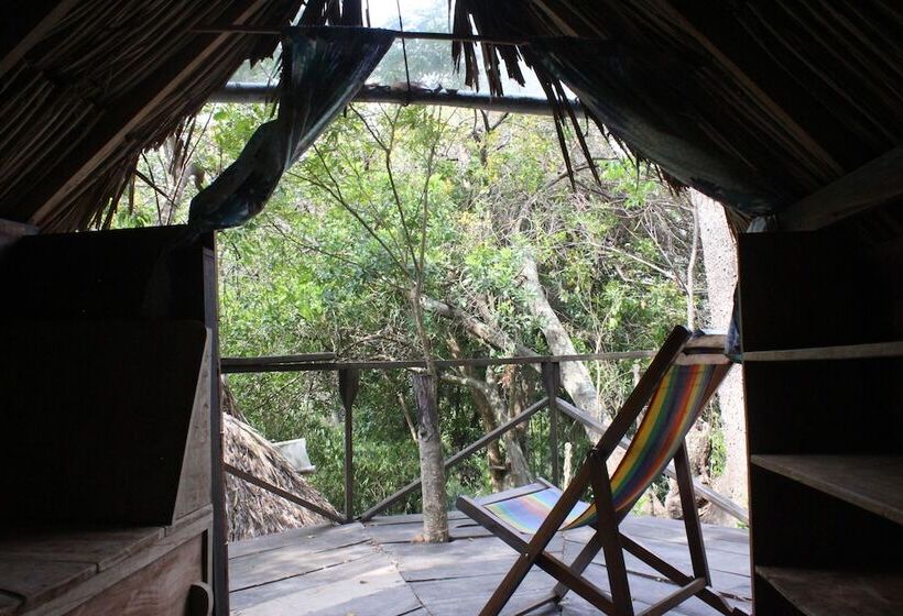 Casa Loma Minca   Hostel