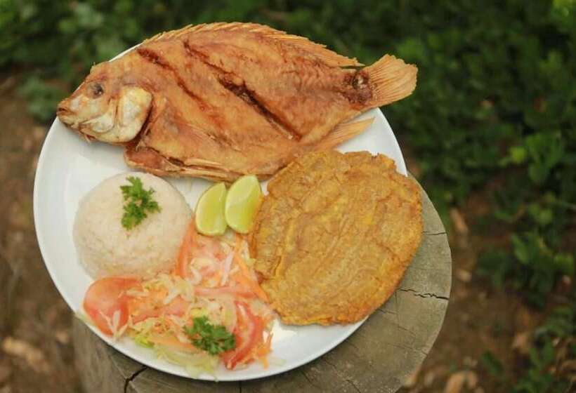 Ecohotel Campo Alegre