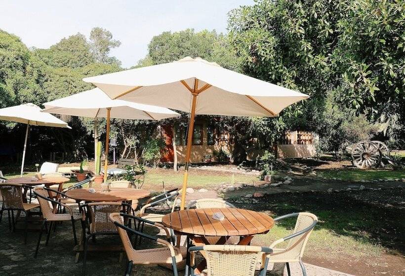 El Arbol Eco Lodge Hostel