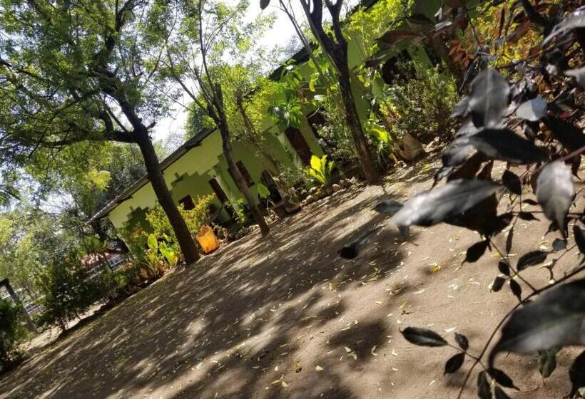 Hostal  Caballo Blanco