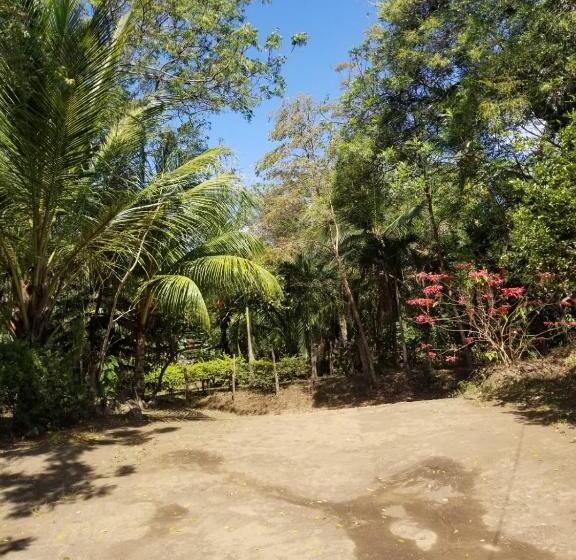 Hostal  Caballo Blanco