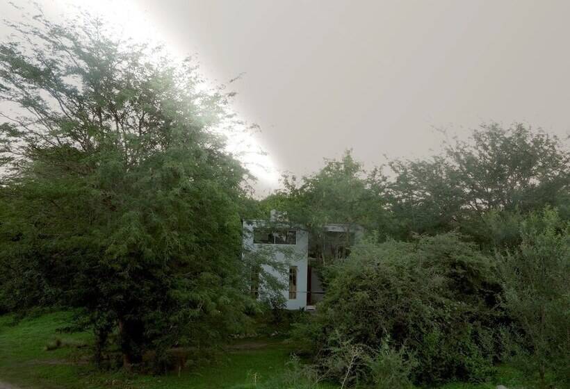 여관 Paloma Suite & Guest House