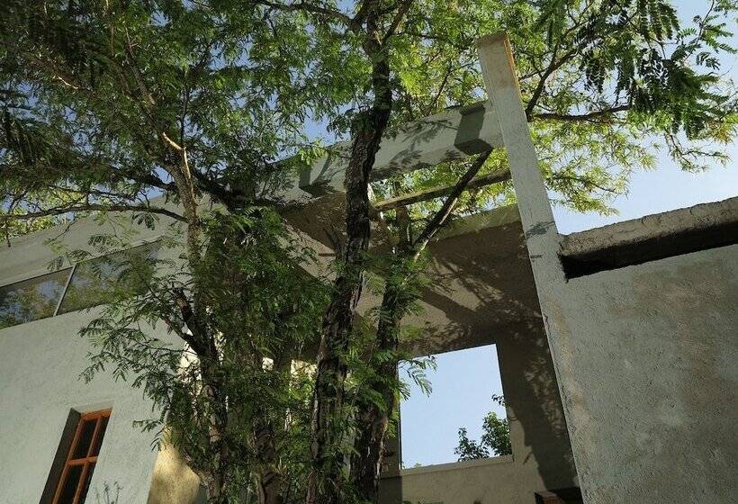 فندق فئة نجمة واحدة Paloma Suite & Guest House