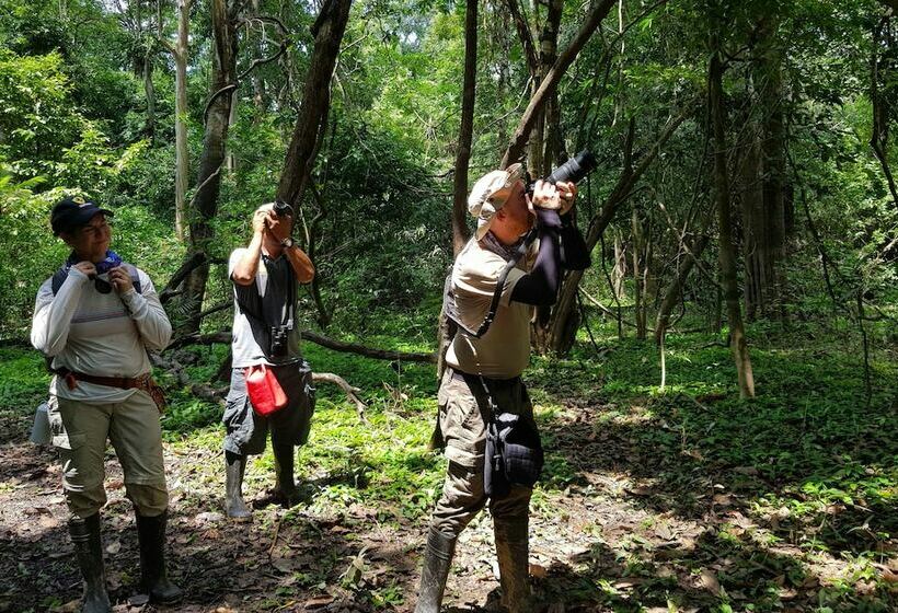 هتل Amazon Lodge Adventures