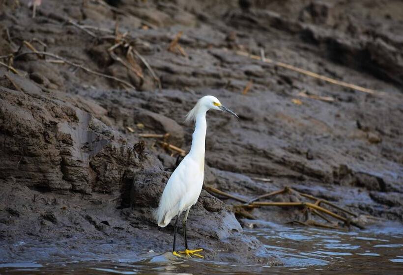 هتل Amazon Lodge Adventures