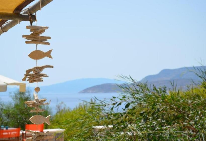 فندق Archipelagos Boutique