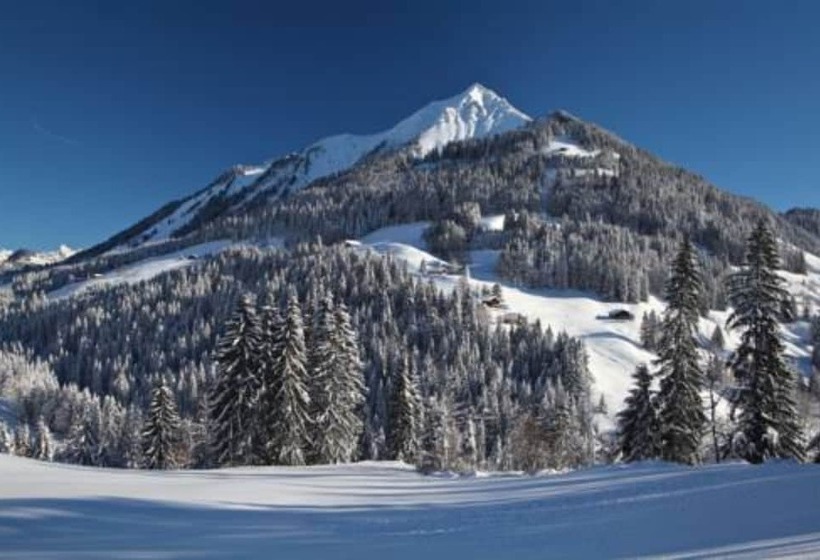 Отель Auberge De La Comballaz