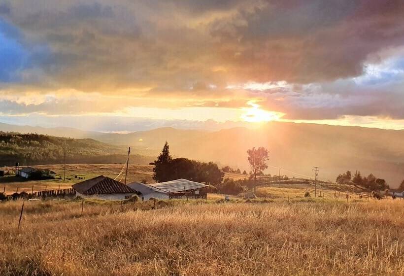 Отель Bajo El Cielo Glamping