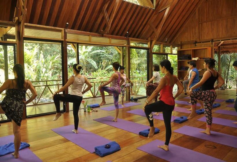 هتل Casa Amazonas