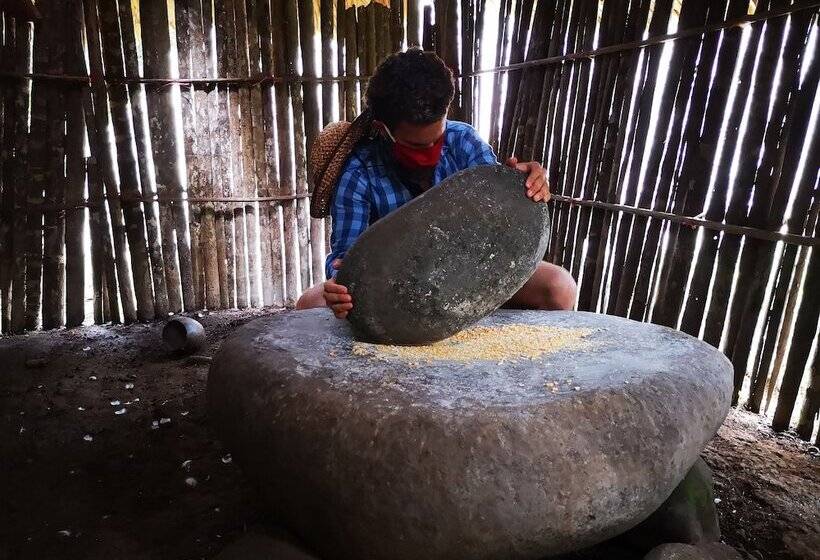 Отель Ditsowou Lodge & Tours