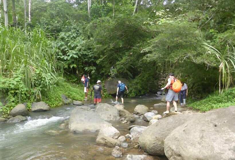 Отель Ditsowou Lodge & Tours