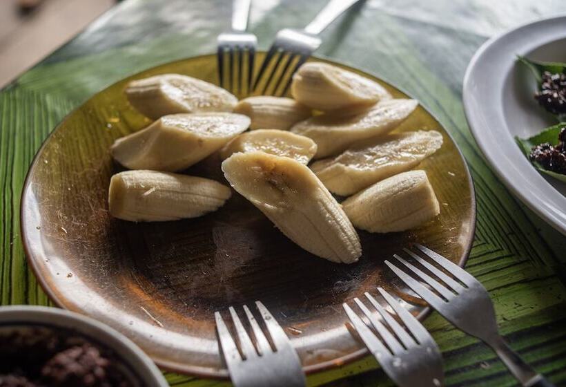 Отель Ditsowou Lodge & Tours