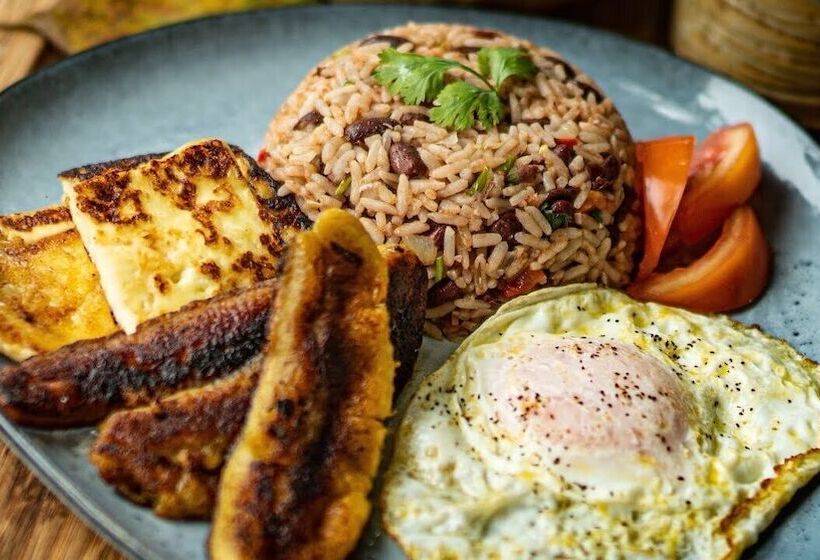 Отель Ditsowou Lodge & Tours