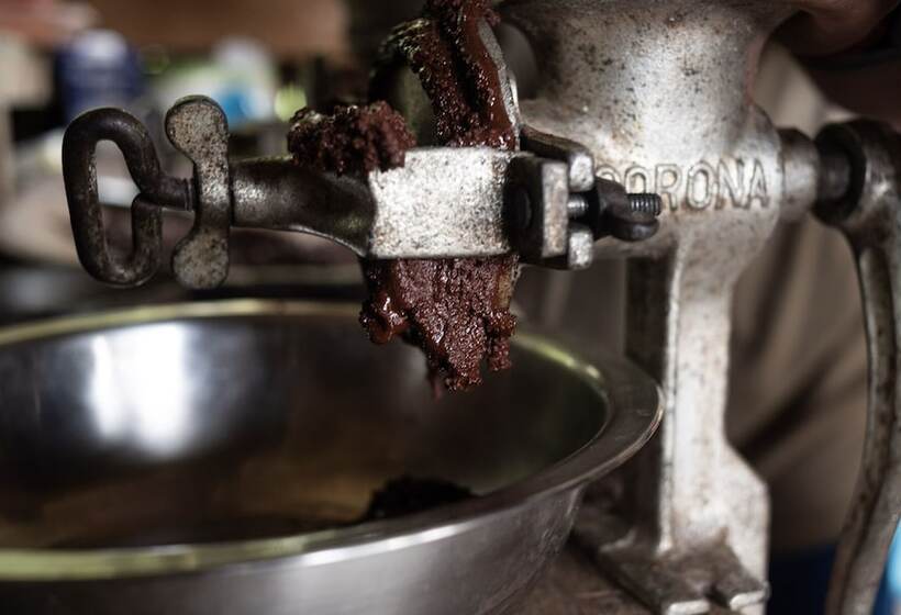 Отель Ditsowou Lodge & Tours