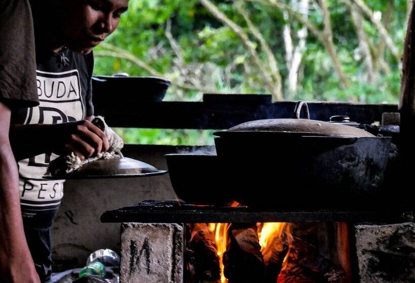 Отель Ditsowou Lodge & Tours