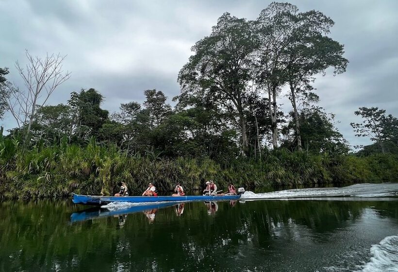 Отель Ditsowou Lodge & Tours