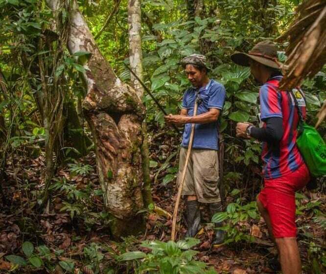 Отель Ditsowou Lodge & Tours