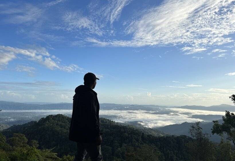 Отель Ditsowou Lodge & Tours