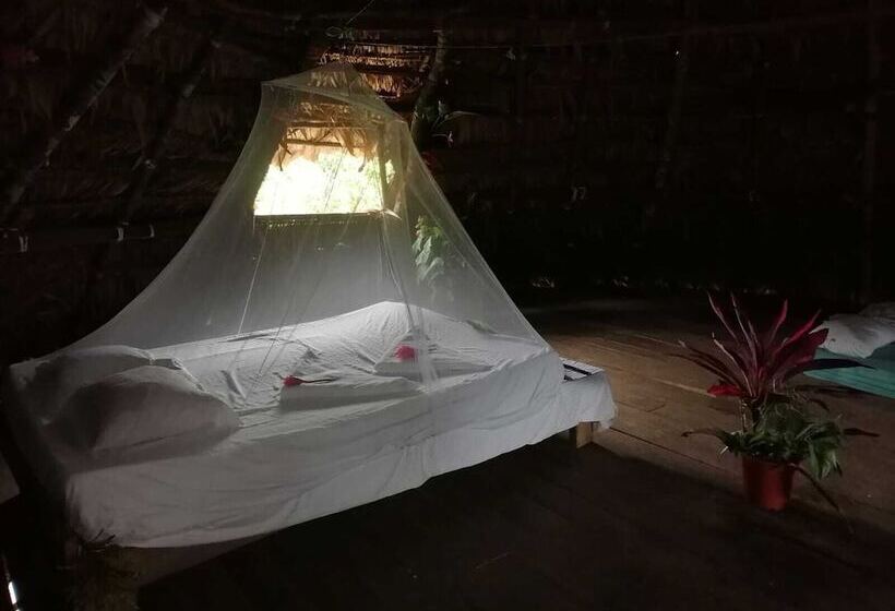 Отель Ditsowou Lodge & Tours