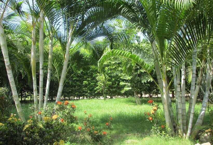 ホテル Ecogarden Cabanas Ecologicas