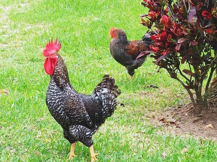 فندق Finca Garullo