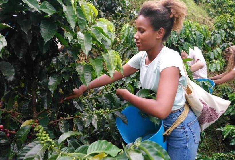 호텔 Finca La Manchuria