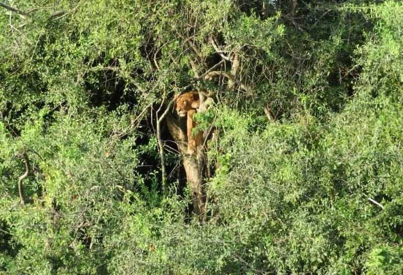 هتل Global Village