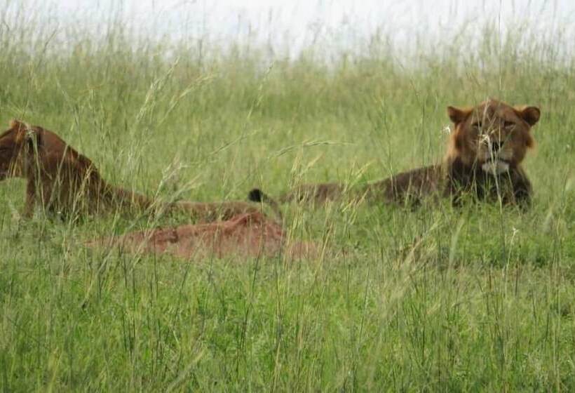 هتل Global Village