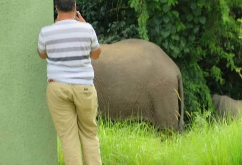 هتل Global Village