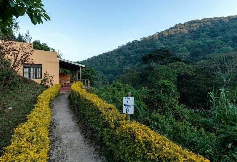 هتل Gorilla Valley Lodge