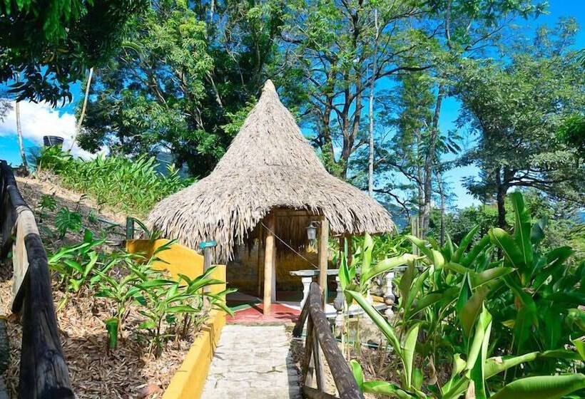 ホテル Hacienda La Bonita