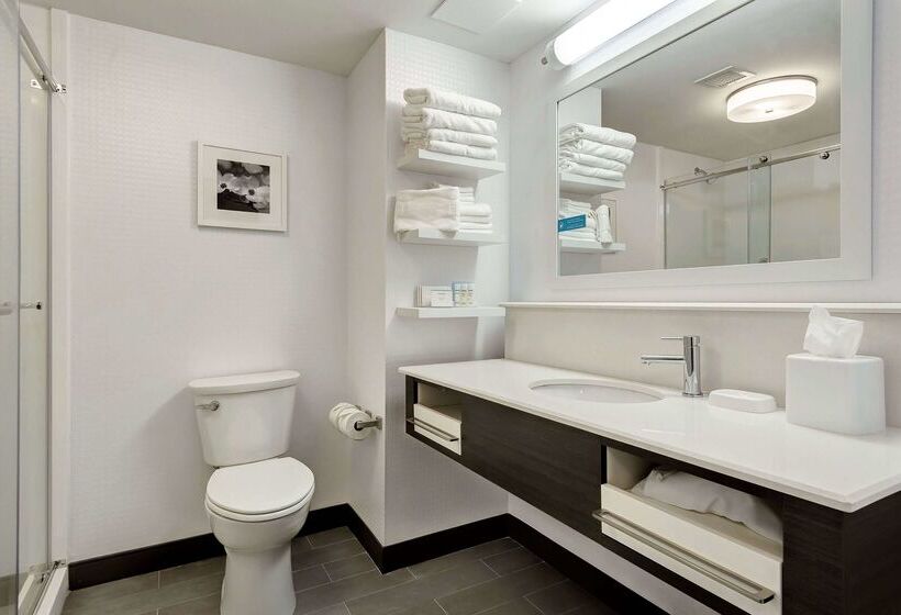 فندق Hampton Inn