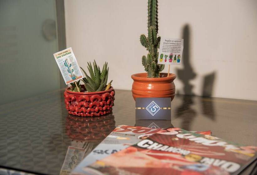 هتل Hostal Calle 5