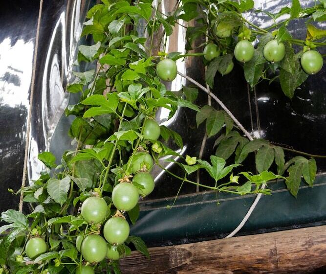 فندق Karungi Camp