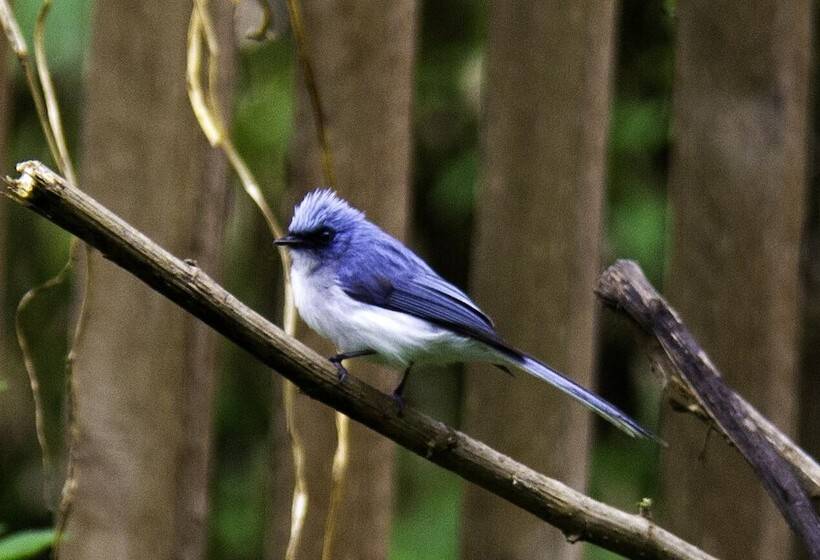 فندق Karungi Camp