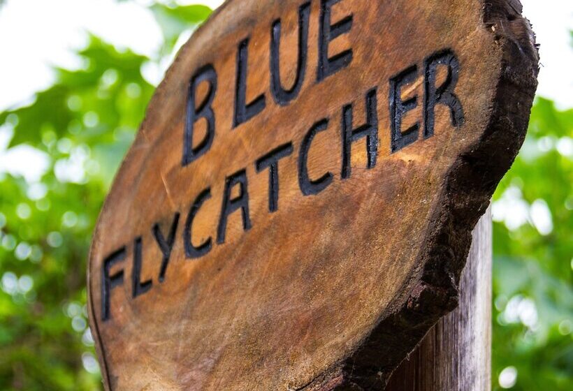 فندق Karungi Camp